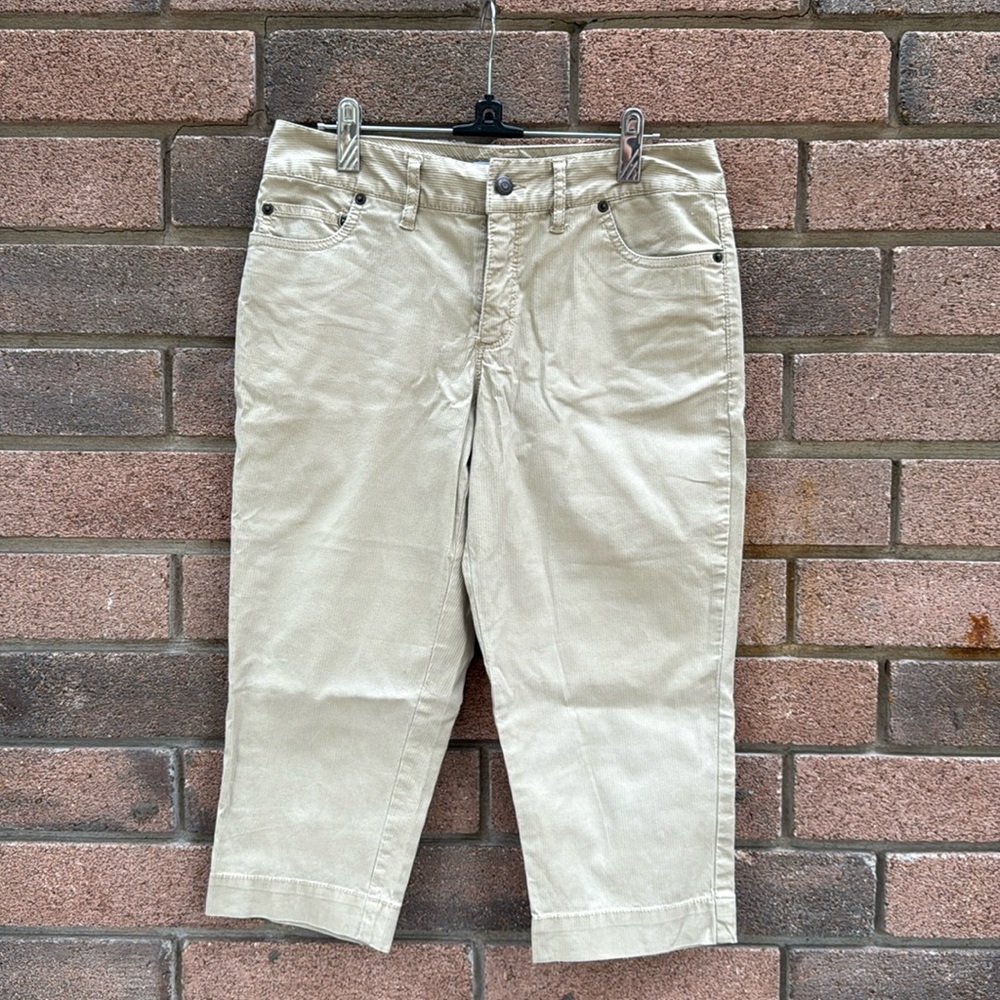 Caribbean Joe Brown Knee Length Shorts Size 6 Petite